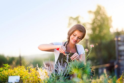 Worker safety and ethical landscaping compliance image