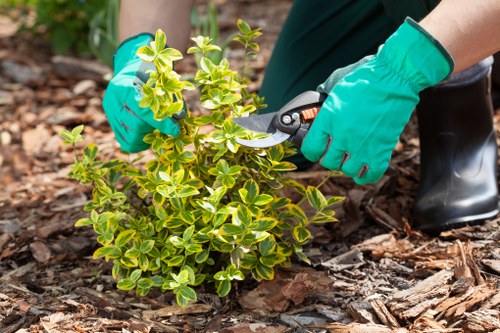 Person reviewing a landscaping complaint in a garden setting
