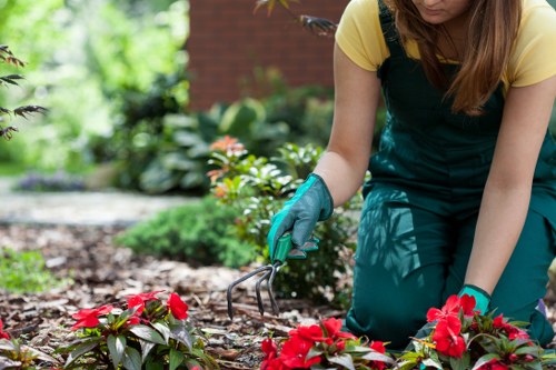 A turf installation team preparing a garden lawn in Mortlake