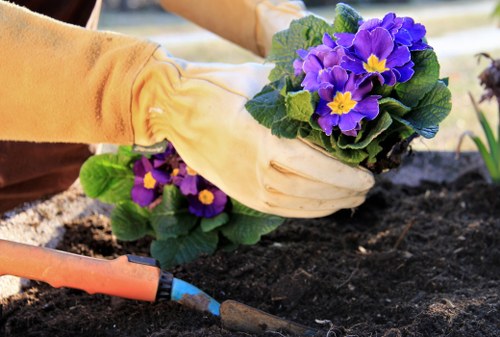 Final review of landscaping complaint records and resolution
