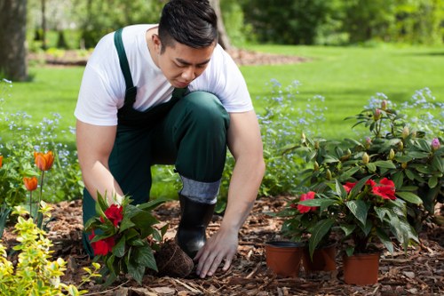 Commercial soft landscaping for a Mortlake business frontage