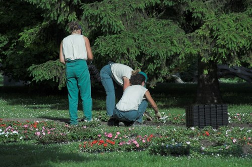 Ethical landscaping operations and human rights commitment image