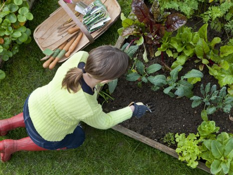 Worker assessing site hazards before landscaping starts